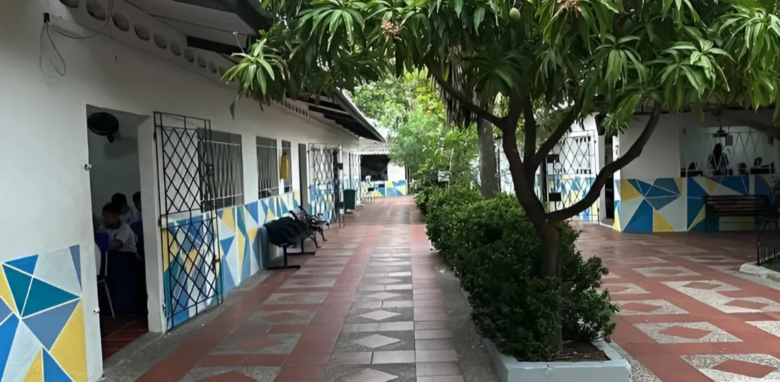 Fondo decorativo Estadio Junior